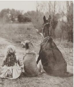 Gather Up, by Athey ThompsonI shall gather up All the lost souls that wander this earth All the ones that are alone All the ones that are broken All the ones that never really fitted in. I shall gather them all up And together, we shall find our home